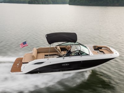 Sea Ray SDX 250