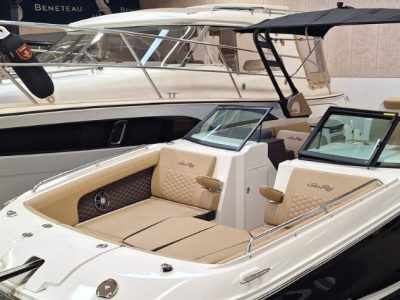 Sea Ray SDX 290