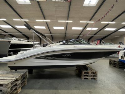 Sea Ray 19 SPX